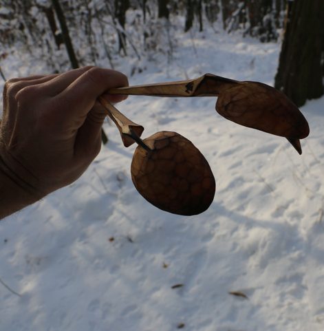 BETULA, VYŘEZÁVANÁ LŽIČKA, OPÁLENÁ