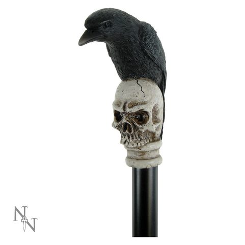 WAY OF THE RAVEN - HŮLKA