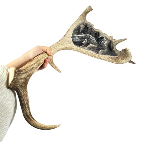 GERI, FREKI A HUGINN A MUNINN, RYTÝ PAROH