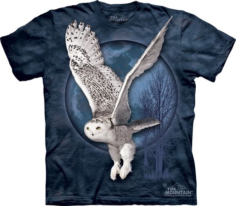 SNOW OWL MOON, THE MOUNTAIN, TRIČKO SOVA