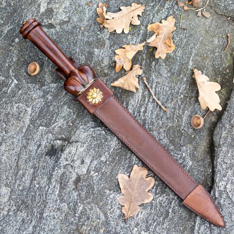 DÝKA - BOLLOCK, LEDVINOVÁ ČI VARLATOVÁ