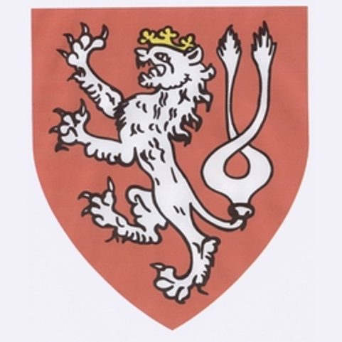 ŠTÍT MALÝ, DĚTSKÝ - ČESKÝ LEV