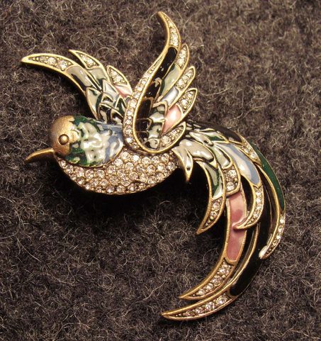 PRALESNÍ PTÁK, VELKÁ BROŽ