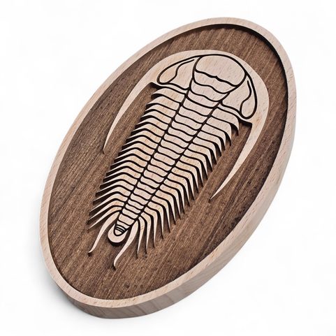 DEKORACE NA ZEĎ, TRILOBIT VELKÝ