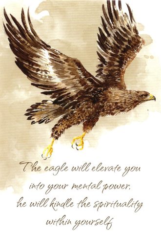 TAROTOVÉ KARTY, POWER ANIMAL CARDS GB