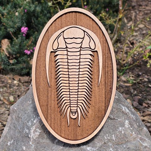 DEKORACE NA ZEĎ, TRILOBIT MALÝ