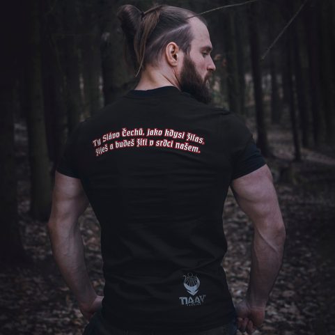 ČESKOSLOVENSKÉ LEGIE - TRIČKO