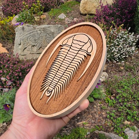 DEKORACE NA ZEĎ, TRILOBIT VELKÝ