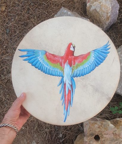 ŠAMANSKÝ BUBEN - PAPOUŠEK ARA 40CM