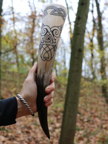 HUGINN A MUNINN, ROH NA PITÍ