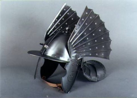 POLSKÝ ŠIŠÁK