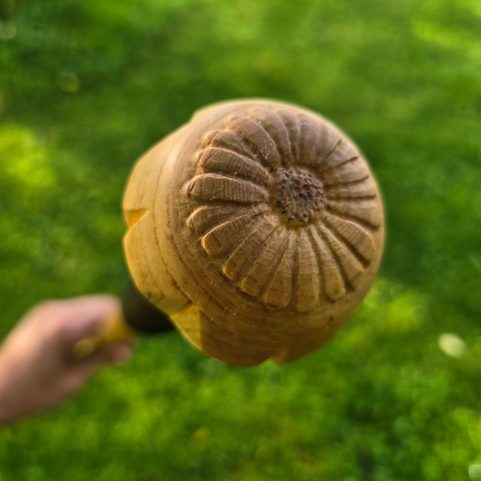 VITIS, ŘÍMSKÁ VYCHÁZKOVÁ HŮL