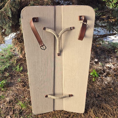 STŘEDOVĚKÁ PAVÉZA, DAVID A GOLIÁŠ, ČECHY