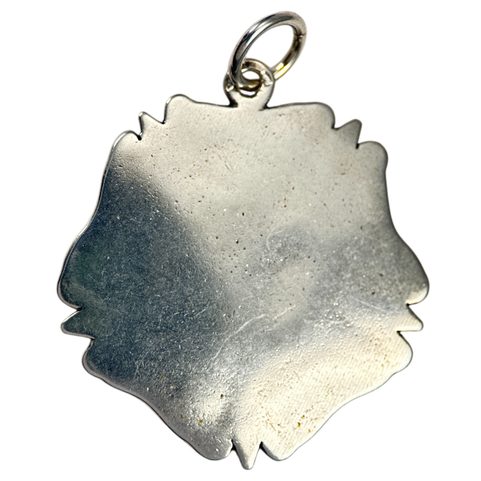 RŮŽE, ROŽMBERKOVÉ, STŘÍBRNÝ PŘÍVĚSEK, AG 925,12G