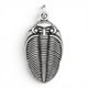 PŘÍVĚŠEK TRILOBIT ODONTOCHILE, ZINEK - ZVÍŘECÍ AMULETY - ŠPERKY