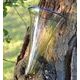 VIKINSKÁ ČÍŠE, DLE NÁLEZU, BIRKA, ŠVÉDSKO - HISTORICKÉ SKLO - STOLOVÁNÍ
