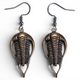 Boucles d'oreilles trilobite en bronze