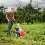 BM 875 IV AL-KO - LIŠTOVÉ SEKAČKY - SEKAČKY