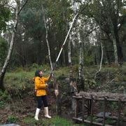 SILKY HAYAUCHI 4900-6.5 TELESKOPICKÁ PILA - PILKY NA VĚTVE - ZAHRADNÍ NÁŘADÍ