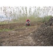 DAKR  ROTAVÁTOR ROT PANTER FD-5 - DAKR PŘÍSLUŠENSTVÍ - DAKR