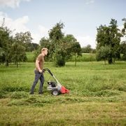 BM 875 IV AL-KO - LIŠTOVÉ SEKAČKY - SEKAČKY