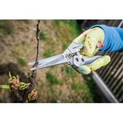 EXTOL PREMIUM NŮŽKY ZAHRADNICKÉ PŘÍMÉ, 200MM, HCS, 8872105 - ZAHRADNÍ NŮŽKY - ZAHRADNÍ NÁŘADÍ