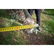 MZD-7/70 - MOTOROVÝ ZAHRADNÍ DRTIČ - DRTIČE VĚTVÍ - ZAHRADNÍ STROJE A TECHNIKA