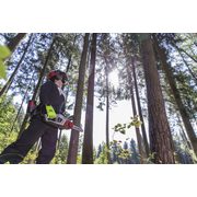 CS 4030 LI 36V AL-KO BEZ AKUMULÁTORU A BEZ NABÍJEČKY - AKU ŘETĚZOVÉ PILY - ZAHRADNÍ STROJE A TECHNIKA