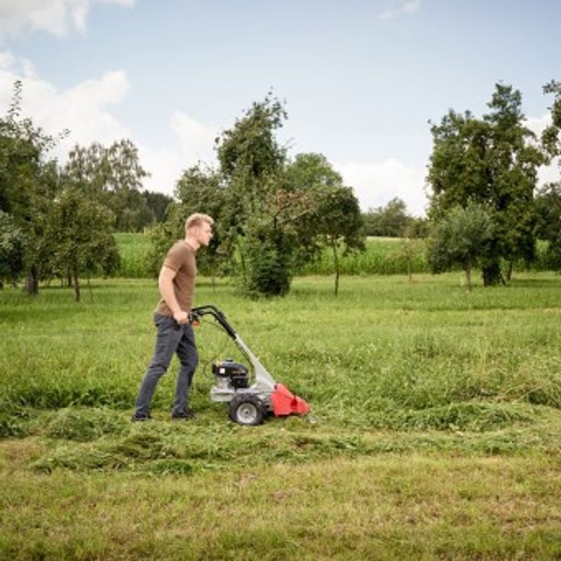 BM 875 IV AL-KO - LIŠTOVÉ SEKAČKY - SEKAČKY