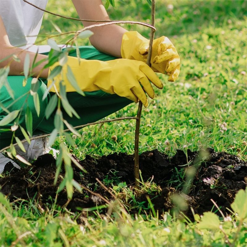 SCHEPPACH EB 2000 PŮDNÍ VRTÁK + 2 VRTÁKY - PŮDNÍ VRTÁKY - ZAHRADNÍ STROJE A TECHNIKA