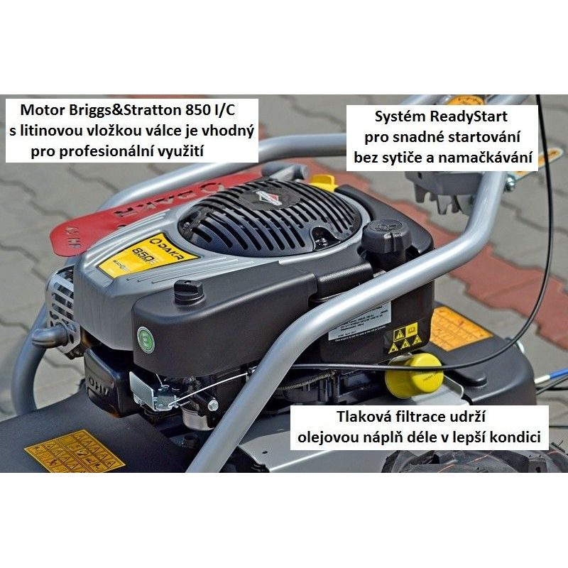 DAKR  SEKAČKA PANTER/1 LONCIN - DAKR PANTER - DAKR