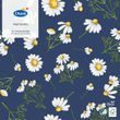 Ubrousky Pretty Daisy 20 ks 33 cm x 33 cm 3-vrstvé