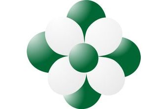 Balónky kytka tmavě zelená