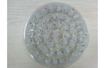 LED Světélka BAREVNÉ BLIKAJÍCÍ 50 ks / BLISTR