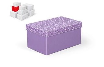 krabice dárková B-C005-D 22x14x11cm 5370875