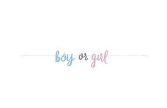 Girlanda " Boy or Girl " - " Kluk nebo Holka", 213cm