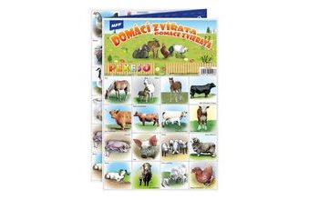 pexeso 3xA4 Domácí zvířata 5300900