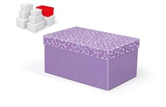 krabice dárková B-C005-F 26x17x13cm 5370877