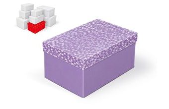 krabice dárková B-C005-E 24x16x12cm 5370876