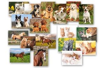 pohlednice zvířata MIX