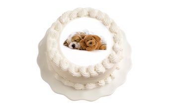 Jedlý papír Roztomilý pejsek s plyšáčkem 20 cm