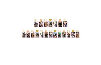 Svatební závěsná vlajka na fotky 3,65 m