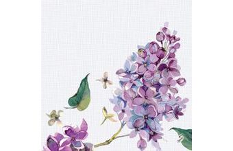 Ubrousek Sweet Butterfly Lilac soft® 12 ks, 40 cm x 40 cm