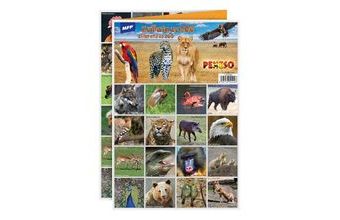 pexeso 3xA4 Zvířata ze ZOO 5300896