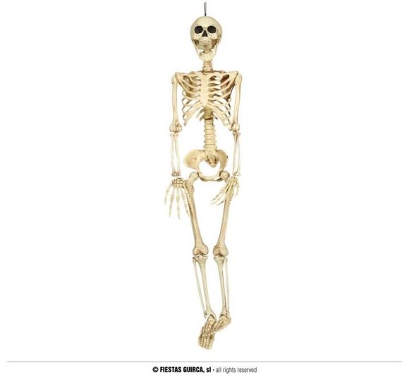 SKELETON - KOSTRA - kostlivec k zavěšení 90 cm- Halloween