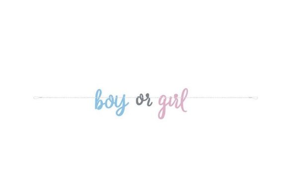 Girlanda " Boy or Girl " - " Kluk nebo Holka", 213cm