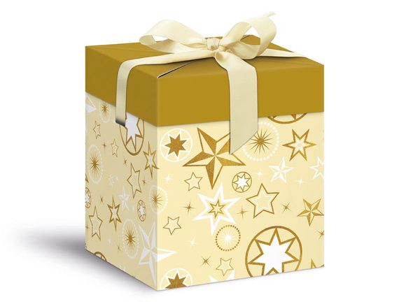 krabička dárková vánoční 12x12x15cm 5370606