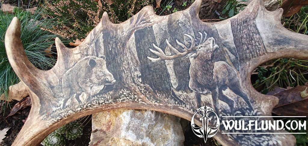 BOAR and STAG, fallow deer antler - Scrimshaw products from antler  Décorations d'intérieur - wulflund.com