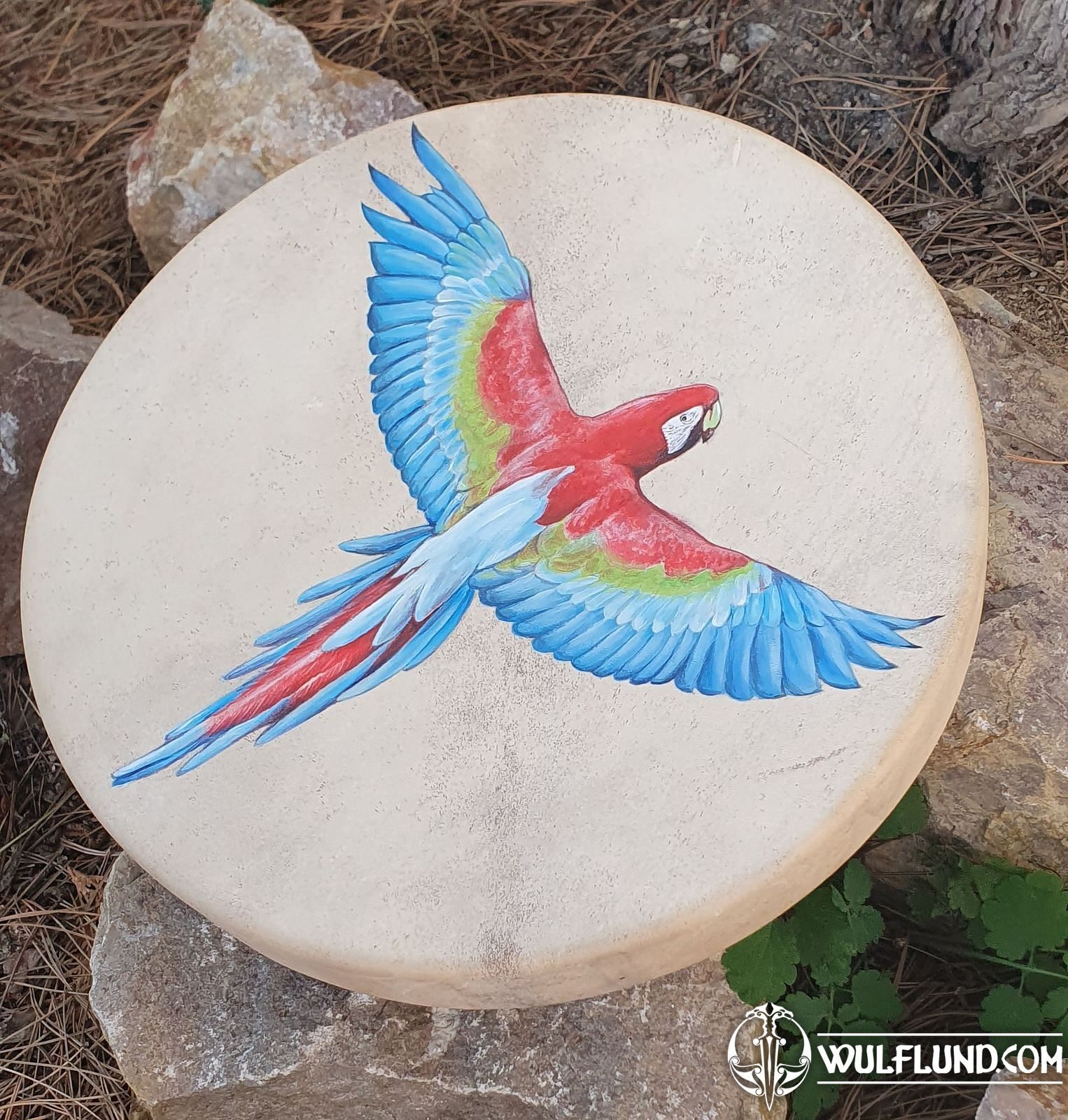 SHAMAN DRUM - Macaw parrot 40 cm Drums Music instruments, Camping and ...