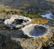 AGATE - GEODE - PRODUCTS FROM STONES